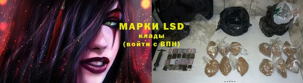 ALPHA PVP Инсар