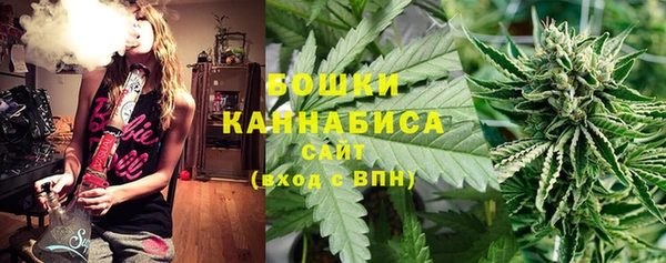 ALPHA PVP Иннополис